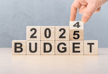 Union Budget 2025 Snippets: Industries' Expectations and Key Highlights